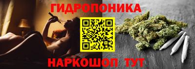 шишки Нальчик