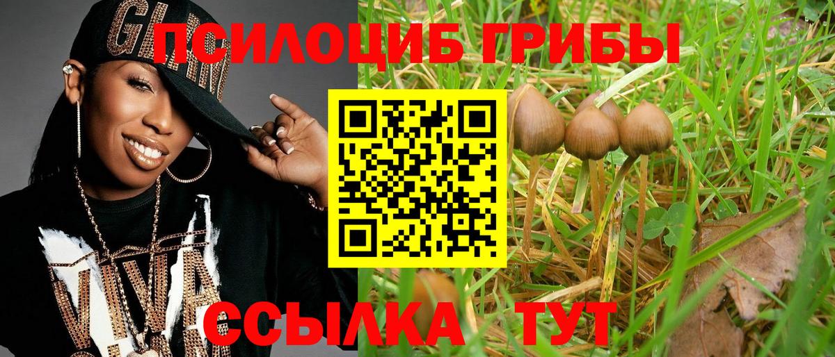 Псилоцибиновые грибы ЛСД  сколько стоит  Вход с VPN  Урус-Мартан  Псилоцибиновые грибы мухоморы 