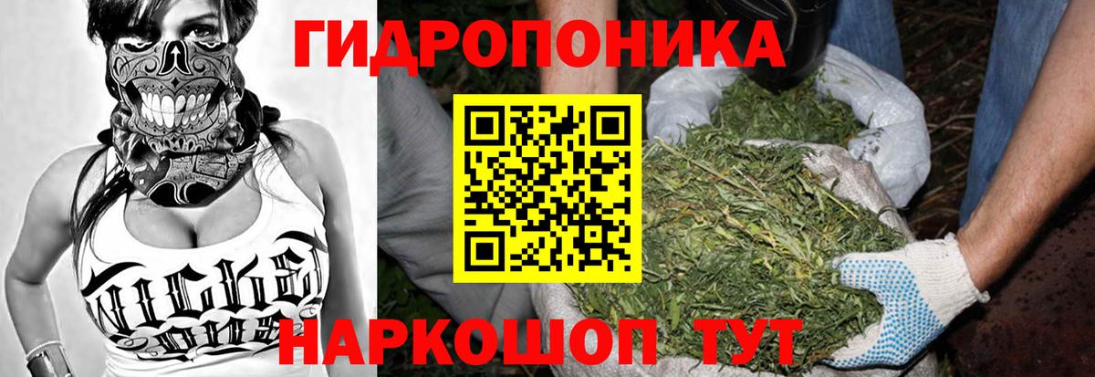 Урус-Мартан  Каннабис Bruce Banner  Бошки Шишки Bruce Banner  Бошки Шишки ГИДРОПОН  МАРИХУАНА индика  Вход с VPN 